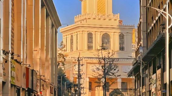 однодневный тур по Старой улице Куньмин, Старому городу Guandu, Музею Юньнань и парку Чунг-Лук с услугами на китайском и английском языках