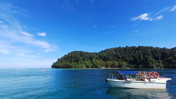 Sabah Kota Kinabalu Sapi Island + Mamutik Island tour di gruppo tour di un giorno con attività acquatiche opzionali