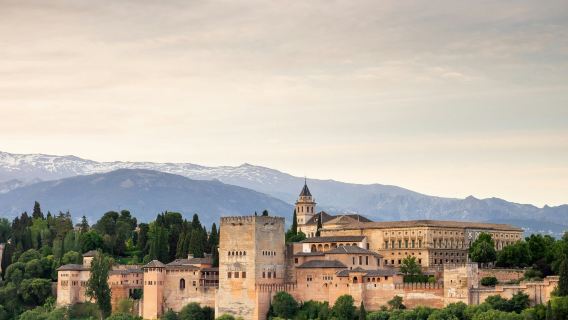 Alhambra: Guided Tour with Flamenco Show & Drink + Transport from Granada