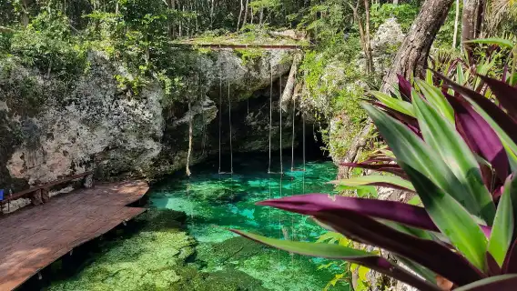 Maya Ruins of Tulum, Cenote Mariposa & Playa del Carmen: Roundtrip with Lunch