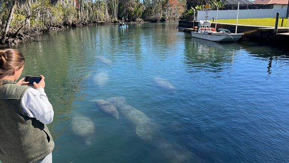 Crystal RiverTours