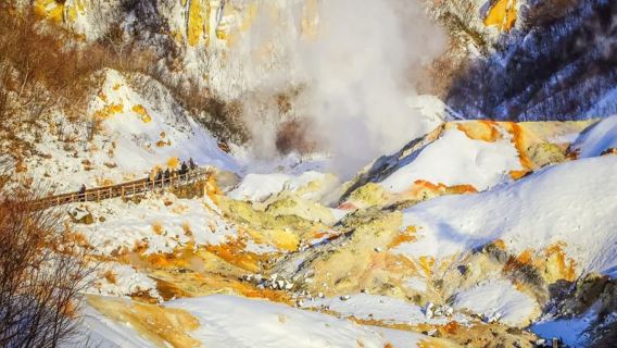 Excursion d'une journée dans le pays des neiges d'Hokkaido : vallée de l'enfer de Noboribetsu, motoneige du lac Toya et ranch des ours