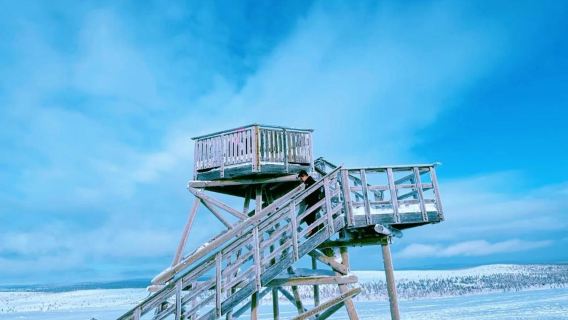 芬蘭羅瓦涅米教堂+哈士奇雪橇之旅一日遊/行程可調-中文專車