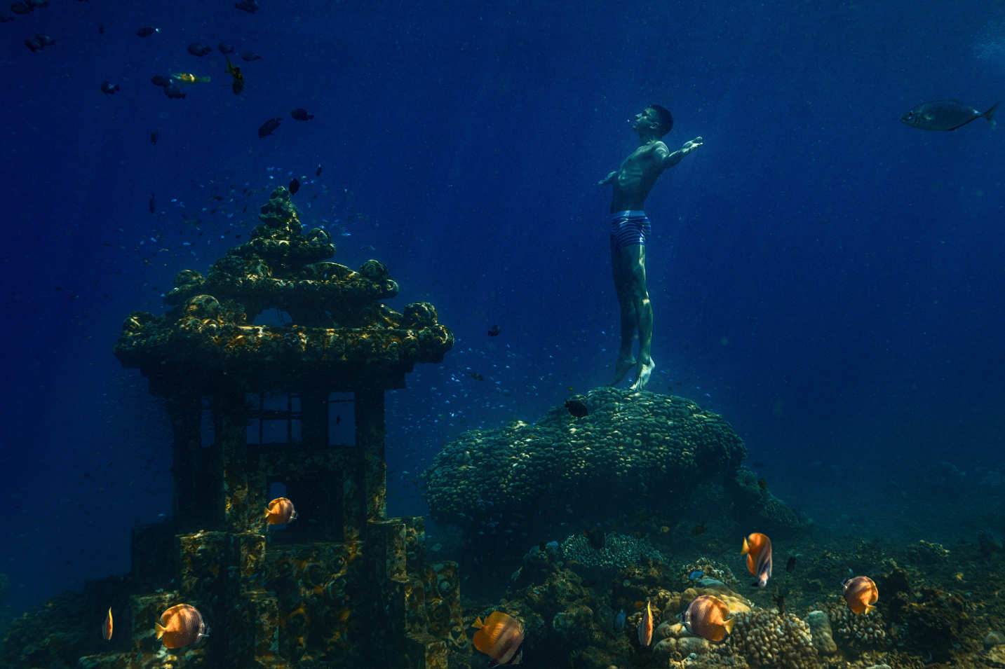 バリ島：神秘的な水中寺院／アメッドでの日本沈船シュノーケリング
