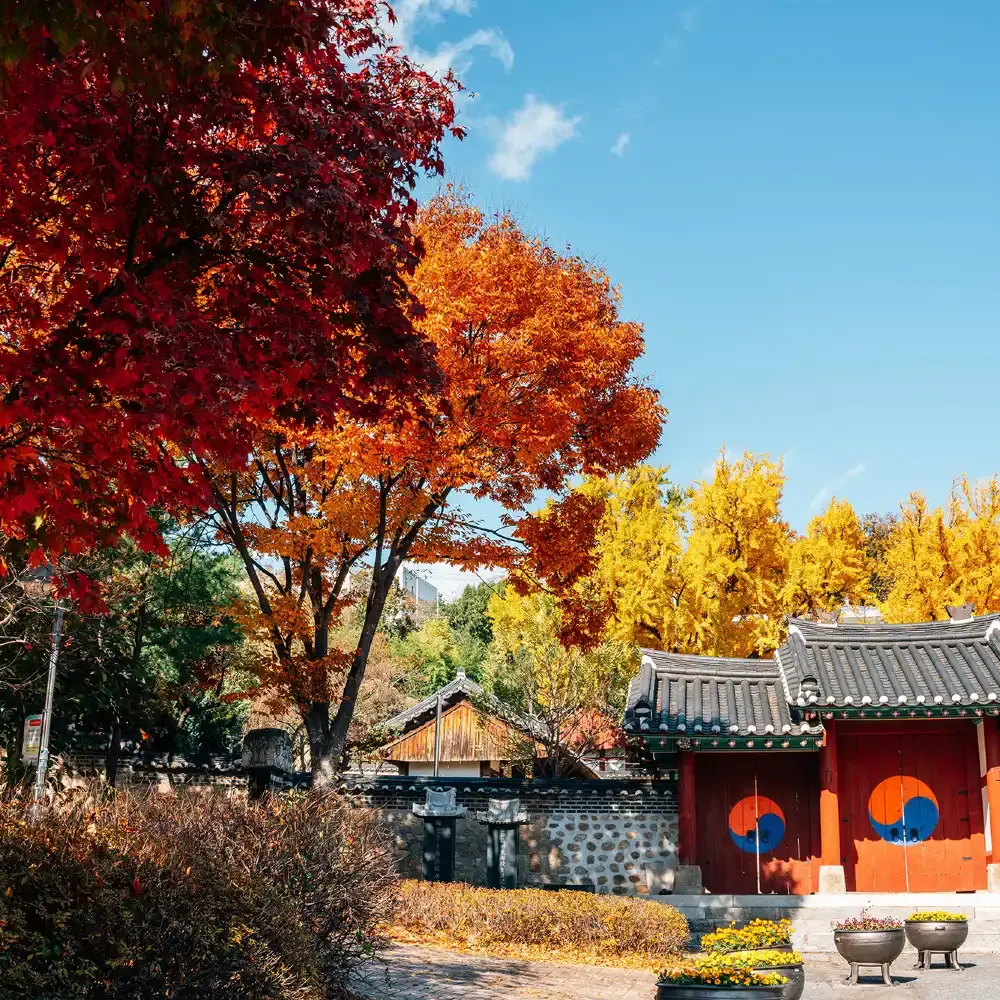 韓国民俗村+水原華城+水源南門市場日帰りツアー (ソウル発) | Trip.com