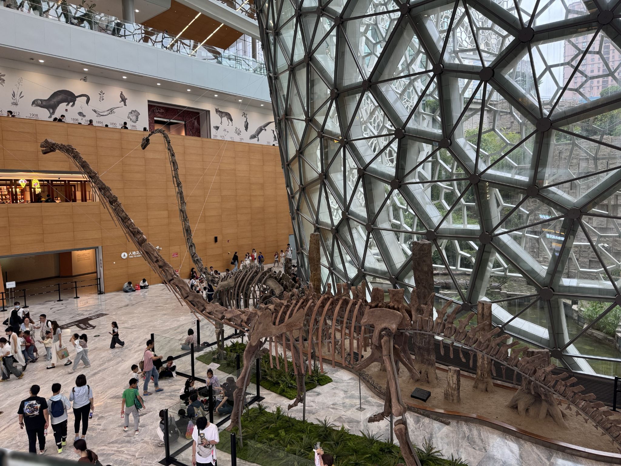 Half-day at Shanghai Natural History Museum and Huangpu River night cruise with headsets and professional tour guide service