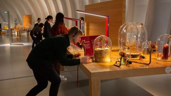 Bordeaux: Cité du Vin Entry Ticket and Wine Tasting