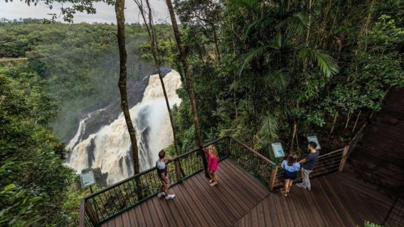 Cairns: cascada, humedales y Skyrail