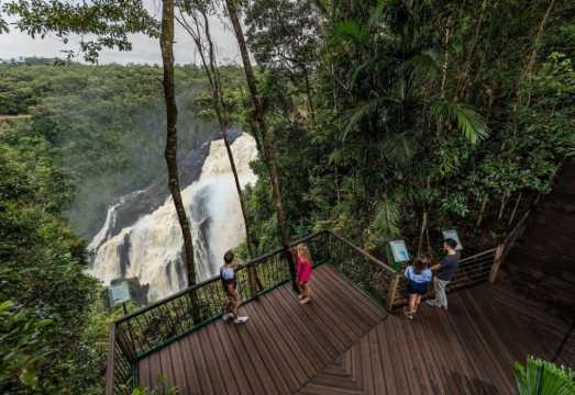Cairns: Waterfall, Wetlands and Skyrail AUD 284.32
