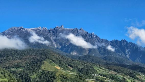 Kota Kinabalu: Poring Hot Spring, and Kinabalu Park Day Trip