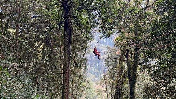 Nyungwe Forest: Zipline Adventure and Canopy Walkway