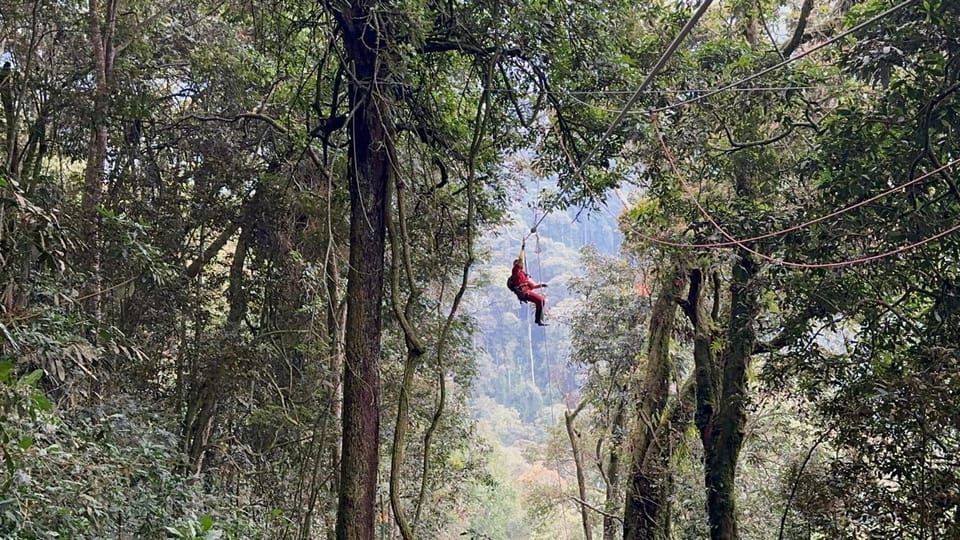 Hutan Nyungwe: Kembara Zipline dan Laluan Kanopi