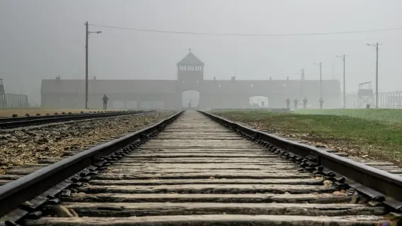 Cracovia: visita guidata di Auschwitz-Birkenau con prelievo e pranzo