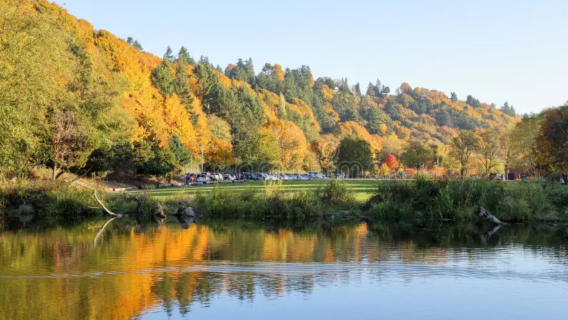 西雅圖一日遊：水族館+奧林匹克雕塑公園+煤氣廠公園+金色公園