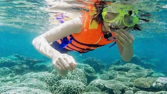 Cham Island Day Tour from Da Nang or Hoi An | Speedboat + Sightseeing + Snorkeling + Optional Diving + Lunch