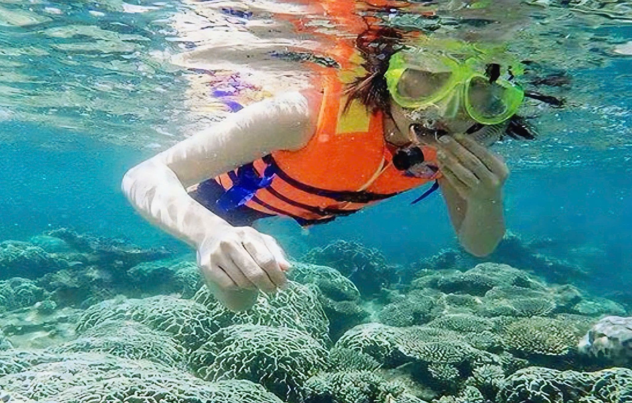 從峴港或會安出發占婆島一日遊｜快艇＋觀光＋浮潛＋可選深潛＋午餐