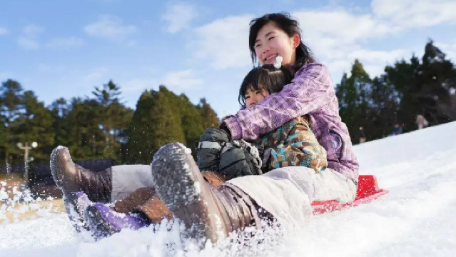 Kobe 1-day tour: Snow fun + skiing + hot springs at Mount Rokko, with Kobe night views