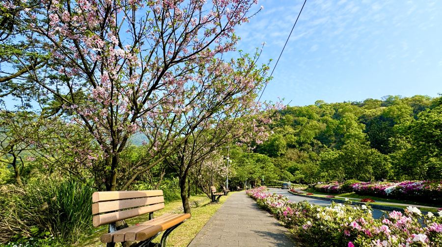 探索陽明山&北投一日遊（中英導覽I 西門町出發)