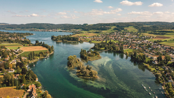 Rhine Falls and Stein medieval town guided tour