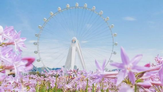 私人小團上門接駁|深圳歡樂港灣+南頭古城+深圳博物館一日遊