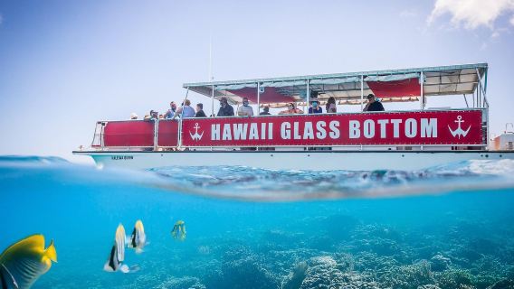 Du thuyền ngắm cảnh lãng mạn đáy kính tại Waikiki, Hawaii [Tour tiếng Anh]