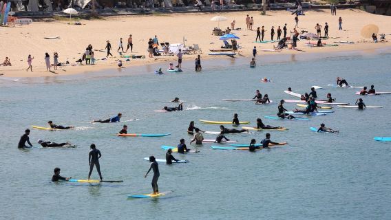 Eintägige Surf-Tour in Yangyang, Gangwon-do