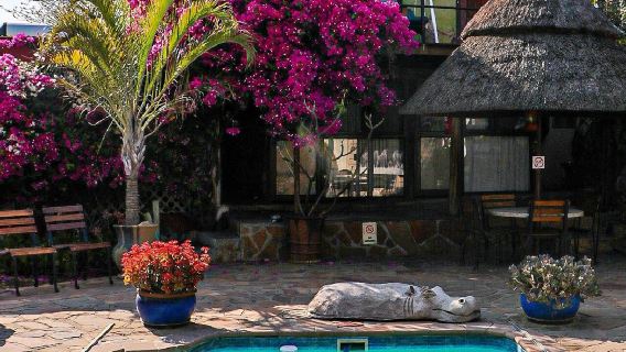 納米比亞&温得和克【包車一日遊】野生動物萌趣線