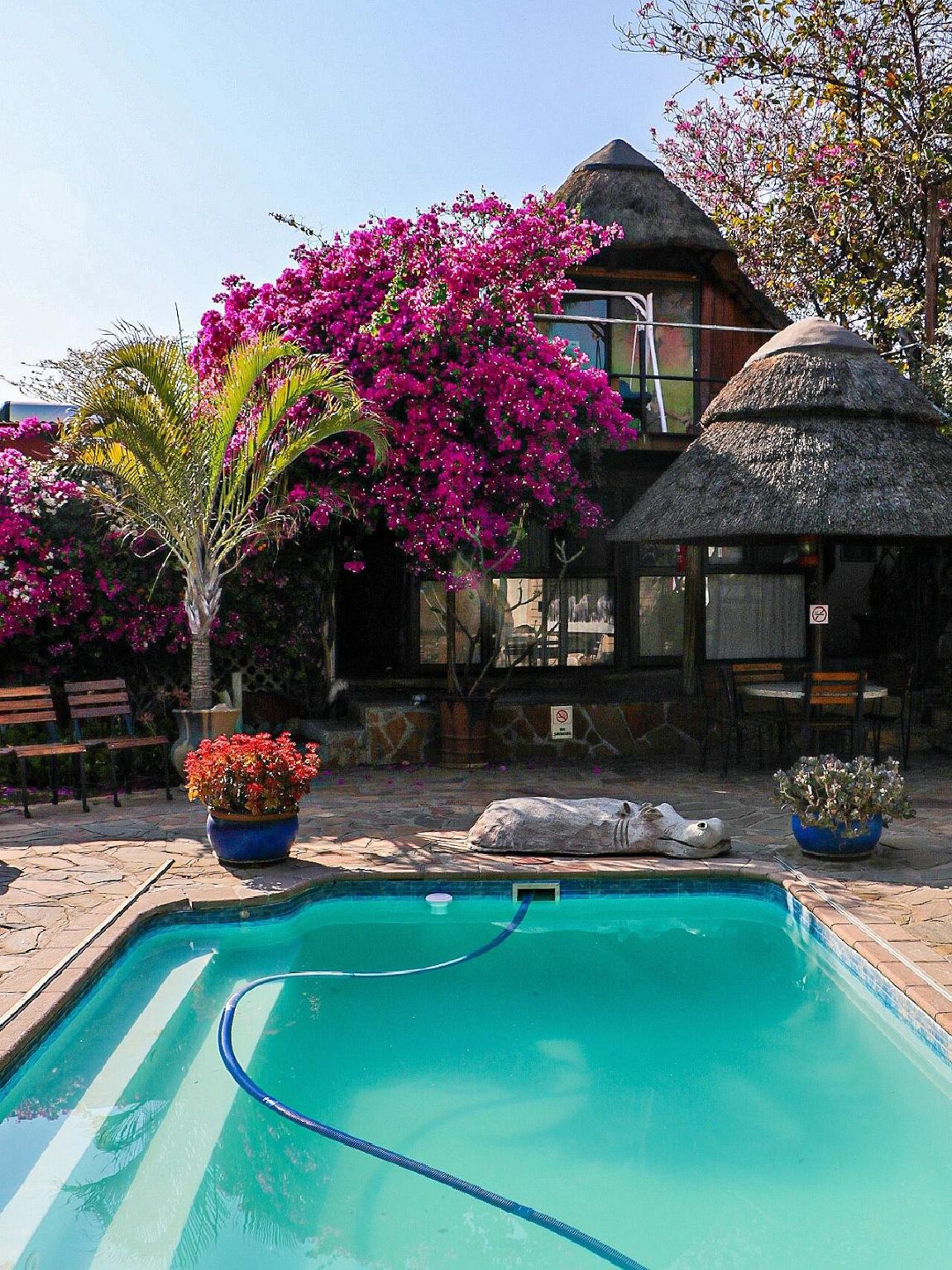 納米比亞&溫得和克【包車一日遊】野生動物萌趣線