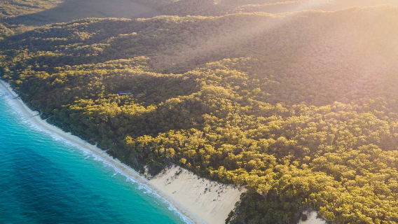Moretoninsel Tagesausflug mit Schiffswrack, Schnorcheln und Meereserkundung auf der Moretoninsel