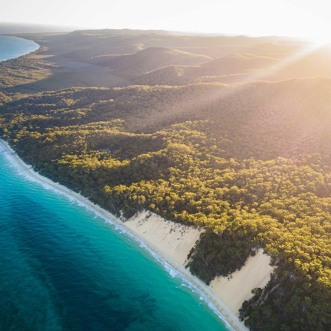Excursión de un día al Parque Nacional Isla Moreton con naufragio, snorkel y exploración marina