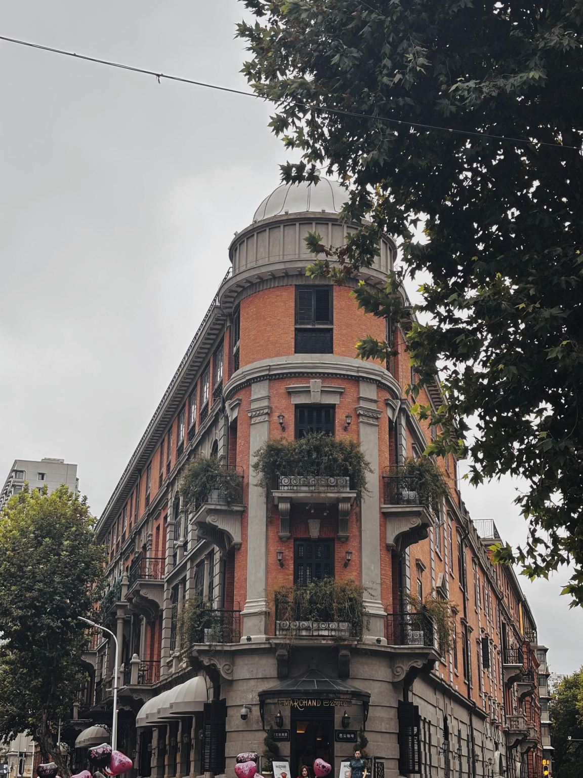 Tour di un giorno all'Università di Wuhan, al Giardino dei Ciliegi del Lago Orientale, alla Strada Han di Chuhe e alla Via Lihuangpi con servizio in inglese