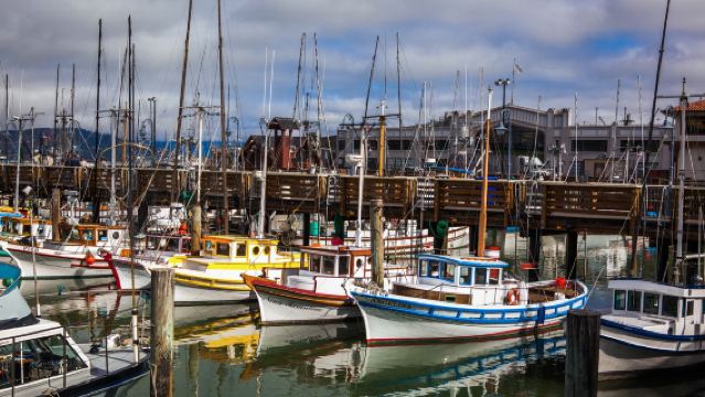 美國舊金山蒙特雷 + 17裡灣風景線 + 卡梅爾一日遊