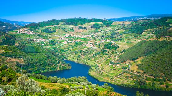 葡萄牙波爾圖杜羅河谷+百年酒莊+古鎮巡禮（酒鄉文化一日遊）