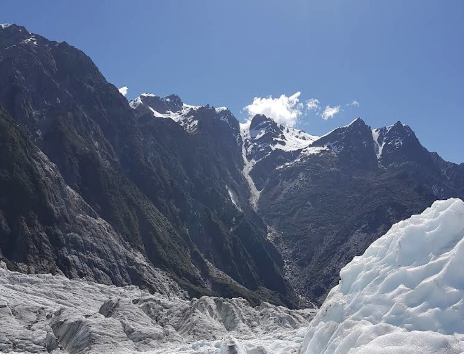 新西蘭基督城-庫克山-福克斯冰川可定制【中文專車-愜意舒適】