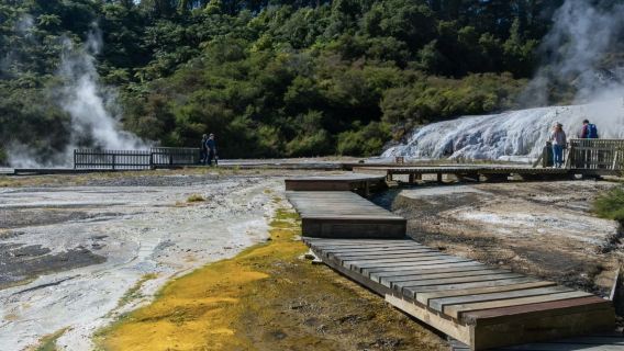 奧克蘭包車一日遊｜羅托魯阿地熱公園+毛利文化村+懷托摩螢火蟲