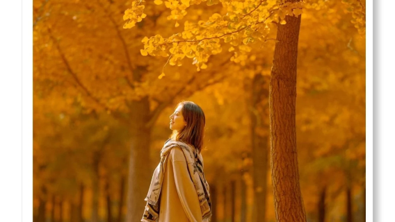 Tengchong 1-on-1 Private Charter Service: Heshun Ancient Town + Rehai Attraction + Yinxing Village with Private Door-to-Door Transfer