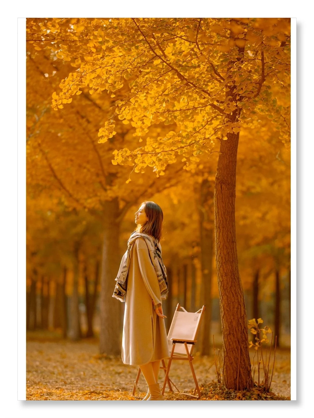 Tengchong 1-on-1 Private Charter Service: Heshun Ancient Town + Rehai Attraction + Yinxing Village with Private Door-to-Door Transfer