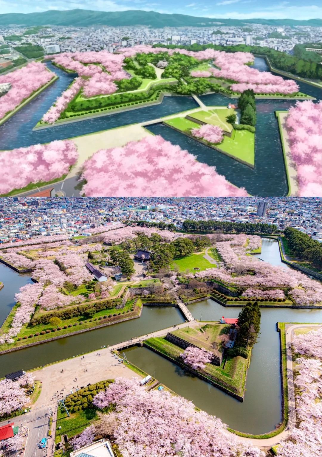 日本北海道【浪漫全景】五稜郭公園+特拉皮斯修道院+函館山夜景