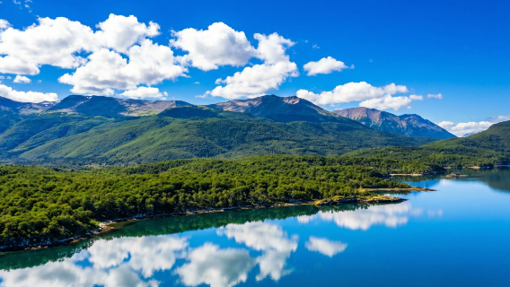 1-day tour to Beagle Channel, Penguin Island and Puerto Almanza (departure from Ushuaia)