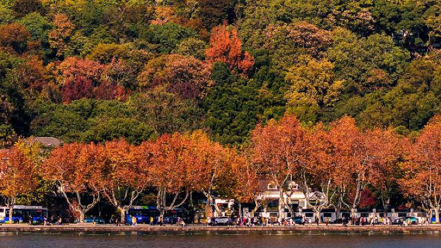 Beioo Post Station - Qiandao Lake - Nongfu Spring Chun'an Production Base - Qiandao Lake City Lake Leisure
