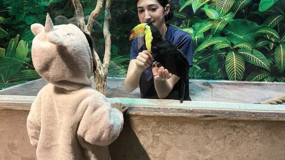 美國鳳凰城來回傑羅姆小鎮鬼城與蒙特蘇馬城堡線-包車-精選