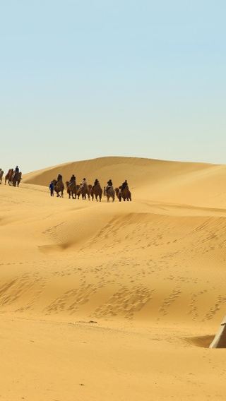 Private Day Tour to Xiangshawan Desert From Hohhot: Private Car Service + Entrance Tickets