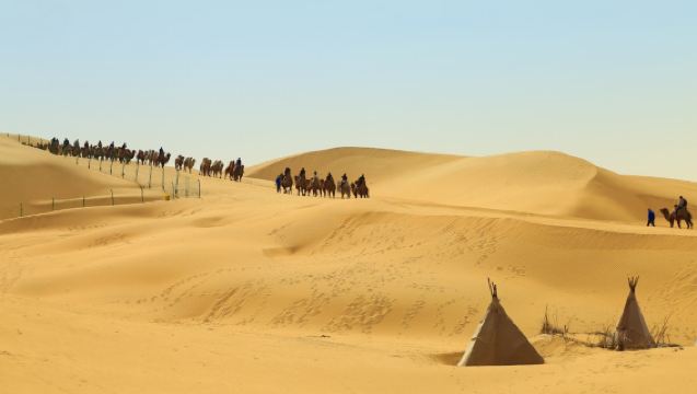 Private Day Tour to Xiangshawan Desert From Hohhot: Private Car Service + Entrance Tickets