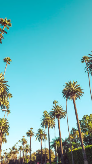 1-day tour to Griffith Observatory, Santa Monica State Beach, Hollywood Walk of Fame and Beverly Hills