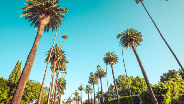 Only in Beverly Hills + Observatorium Griffith + Pantai Santa Monica + Hollywood Walk of Fame Perjalanan Satu Hari