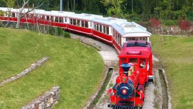 Wuxi andata e ritorno: tour a Yixing Yaohu Town + Foresta di Bambù di Yixing con guida cinese/inglese e noleggio con conducente esclusivo personalizzato nella Città della Ceramica