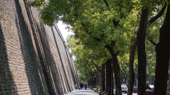 Narrador de la ciudad • Paseo histórico por la Muralla de Xi'an y el Callejón Shuncheng