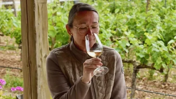 Lluchmayor: Tour de vinos de Bodegas Bordoy