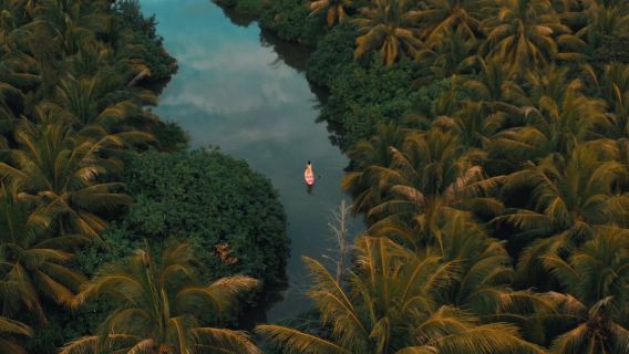 Pengalaman papan dayung di Pulau Kelapa Lingshui Hainan/meneroka hutan kelapa tropika Amazon/mesra pemula & keluarga