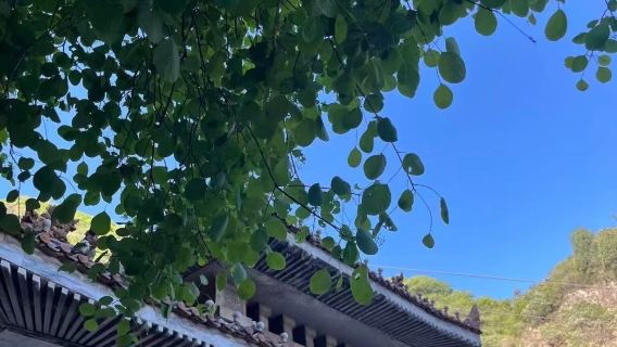 1-day tour to Mount Hua | Check in at the number one precipitous mountain in the world